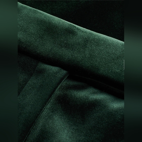 Express, NWOT Editor Super High Waisted Velvet Flare Trouser Pant Sz 6R - Picture 11 of 13